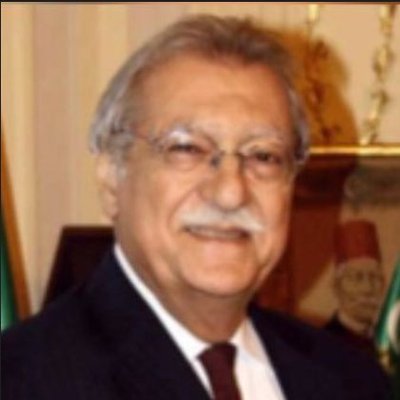 Hassan Sayed Abou Seada